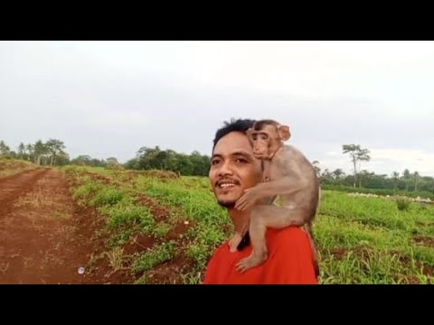 Видео: Да❗ МНЕ УДАЛОСЬ СДЕЛАТЬ, ЧТОБЫ ДЖОНИ БЫЛО БОЛЕЕ КОМФОРТНО СО МНОЙ