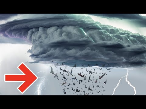 Видео: Самые безумные природные явления, которые снесут вас с ног