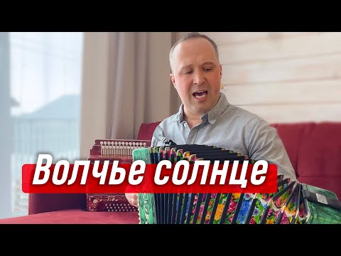 Видео: Мурашки по коже! Волчье солнце песня – автор Виталий Аксёнов | Гармонист Иван Разумов