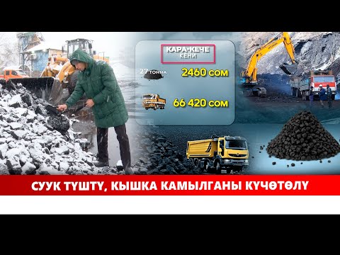 Видео: Суук түштү, кышка камылганы күчөтөлү