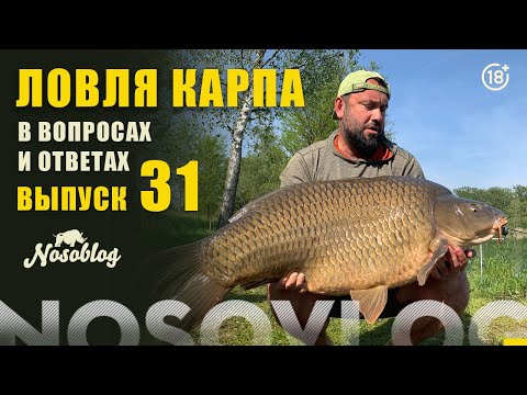 Видео: Карпфишинг в вопросах и ответах, выпуск #31, Колесников А.