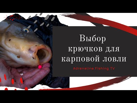 Видео: Коропові гачки. Вибір гачків для коропового лову.