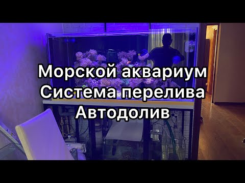 Видео: Морской Аквариум | Аквариум | Перелив в морском аквариуме | Автодолив | Попоавковый автодолив
