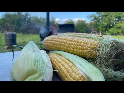 Видео: Найкраща Кукурудза на грилі, мій улюблений рецепт. Миттєво закінчується...