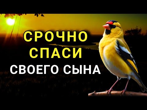 Видео: Повторите эту молитву и ваш СЫН будет под защитой! Лучшие молитвы, слушать минимум один раз в день🤲