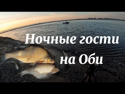 Видео: Мы с Супругой ОБАЛДЕЛИ! Ночные Гости ПОРВАЛИ ВСЕ наши Донки на Оби... Но Рыбалка УДАЛАСЬ!