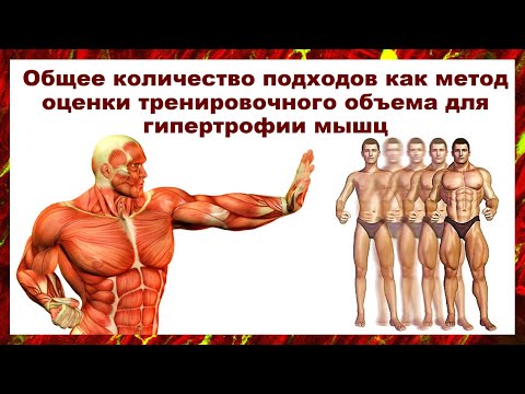Видео: лекция: Общее количество подходов как метод оценки тренировочного объема для гипертрофии мышц
