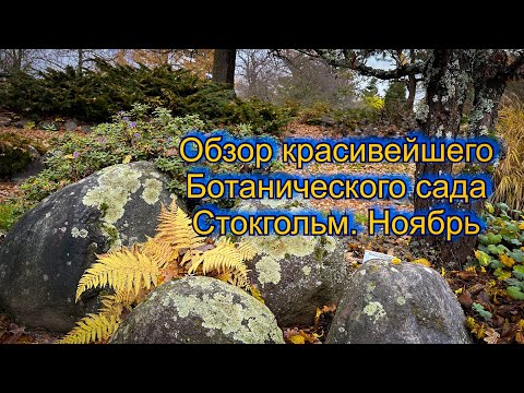 Видео: Vlog 426 - Ботанический сад. Стокгольм. Царство красоты и покоя