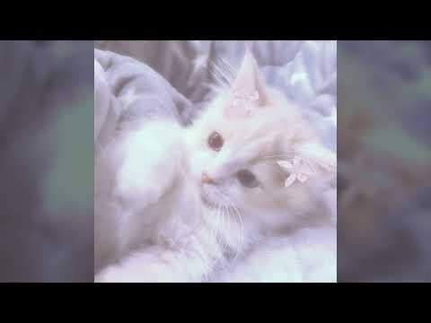 Видео: [FREE] madk1d x темный принц x tewiq x archivecore type beat - "gain" prod.wo0sh1ra