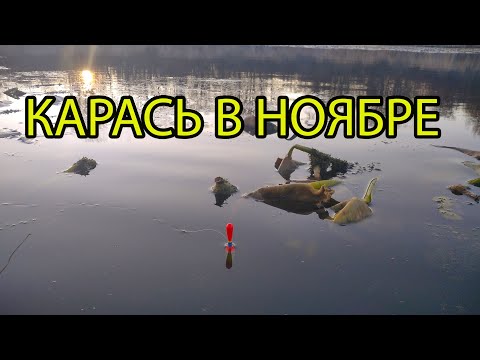 Видео: Рыбалка на карася в ноябре. Разведка новых мест.