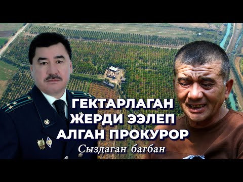 Видео: Айыл өкмөттүн алы жетпей, багбан ыйлап... Прокурор ээлеп алган бактын чыры/ Кара-Суу