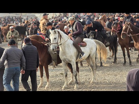 Видео: ПАЙ ПАЙ ПАЙ  500 миңге Сатылбады Базары Кайнаган Ноокат ЖЫЛКЫ Базары 