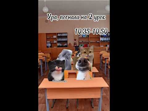 Видео: Рил: Мой понедельник в школе. Все серии