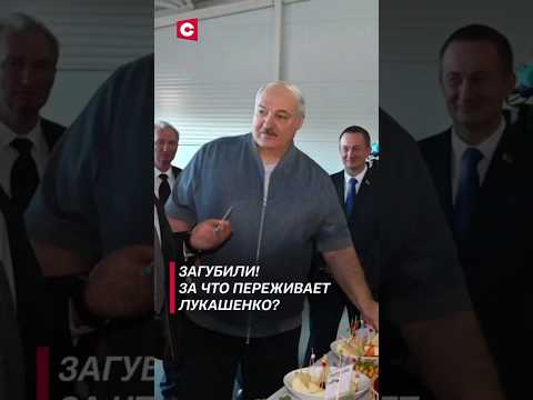 Видео: Загубили! За что переживает Лукашенко? #лукашенко #новости #политика #белаурсь #садоводство #shorts