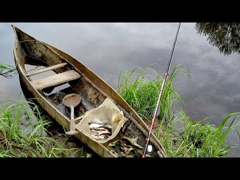 Видео: Обласок - скользя по таежной воде. 