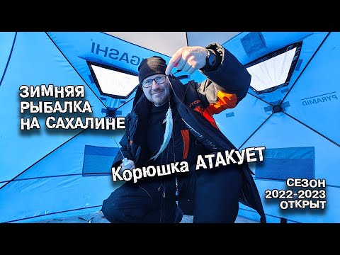 Видео: Зимняя рыбалка на Сахалине. Первый лед 2022-2023. Корюшка.