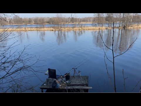 Видео: Фидерная рыбалка в марте на Осиповичском водохранилище , ловим подлещика ранней весной