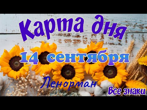 Видео: Карта дня🍁 14 сентября🌾 🌞Ленорман. Тайм-код в описании🦢