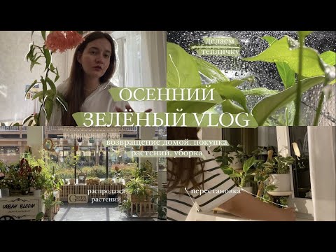 Видео: Зелёный VLOG || Покупаю новые растения, делаю тепличку, убираюсь и переставляю растения