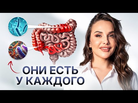Видео: МИКРОБИОМ: Как кишечные бактерии УПРАВЛЯЮТ нашим настроением и ЗАЩИЩАЮТ от стресса?