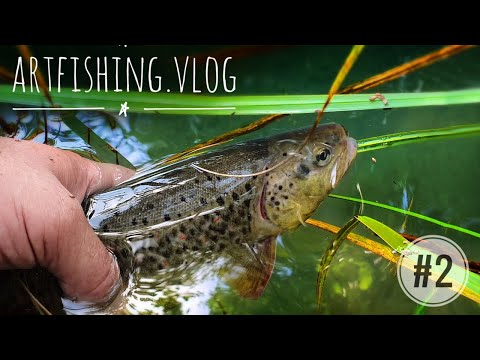 Видео: Рыбалка в Северной Осетии. Ловля форели на роднике. Часть 1. Artfishing.Vlog #2