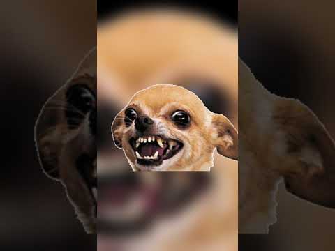 Видео: Деревня дураков. REV