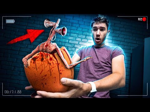 Видео: НЕ ДЕЛАЙ ГОМУНКУЛА ИЗ ДНК СИРЕНОГОЛОВОГО *ВЫЛУПИЛСЯ РЕАЛЬНЫЙ SCP* Потусторонние SIREN HEAD