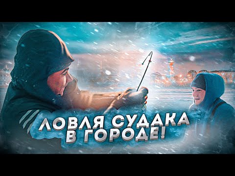 Видео: СУДАК В ГОРОДЕ! Ловля рыбы в 15 минутах от дома. MAIN TARGET. 4K