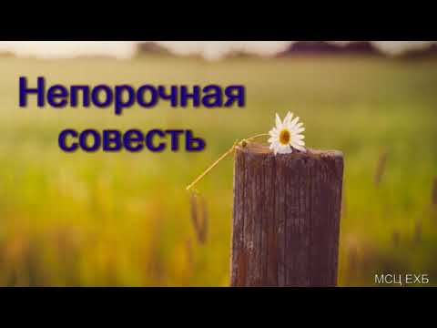 Видео: "Непорочная совесть". П. А. Дудников. МСЦ ЕХБ.