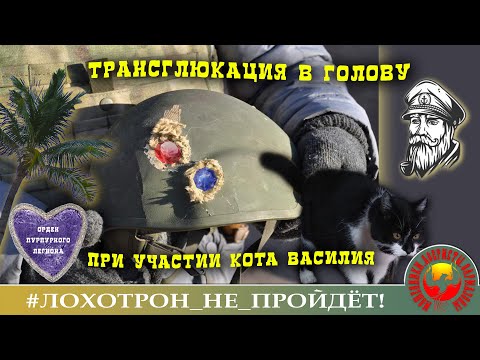 Видео: Трансглюкация для мошенников, кот Василий и вишенка для Клавесина. (Автор - Моряк Андрей)