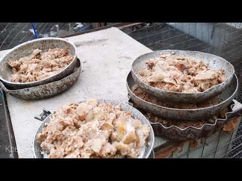 Видео: Кормление нутрий \\ как и чем кормить нутрий \\ уход за нутриями