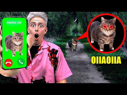 Видео: НИКОГДА НЕ ЗВОНИ OIIAOIIA CAT в 3:00 ночи! **проклятый кот**