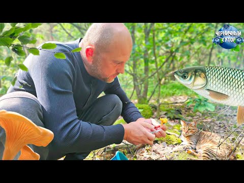 Видео: Пока эти дела не закончим, то не можем уехать в отпуск. Грибы, рыбалка, работа и всё в одном видео.