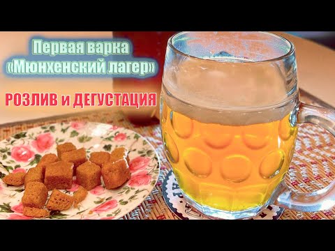 Видео: Первая варка на дачной пивоварне. Варим Мюнхенский лагер (Часть 2: розлив и дегустация)