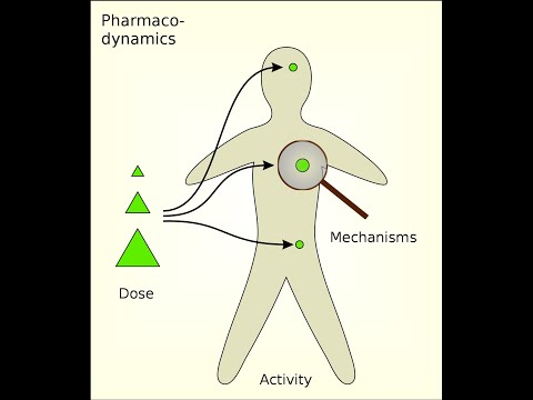 Видео: 04 Фармакодинамика лекарственных средств