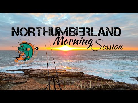 Видео: Морская рыбалка | Побережье Нортумберленда | Ловля сайды | Береговая рыбалка |