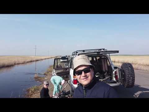 Видео: река Кульса и ее разливы