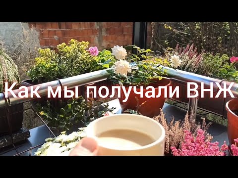 Видео: Как мы получали ВНЖ. Парк Святого Савы