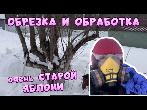 Видео: ОБРАБОТКА И ОБРЕЗКА очень СТАРОЙ ЯБЛОНИ.Моё 8 марта на даче.
