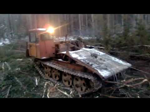 Видео: тдт 55  работа в лесу.
