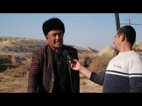 Видео: КОТИЛЛИК МАЖБУРЛАБ БУЙНИГА КОЙДИ