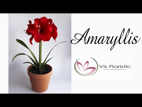 Видео: Амариллис из бумаги /Amaryllis paper flower