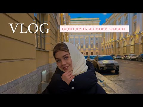 Видео: показываю один день из жизни эрикимимими