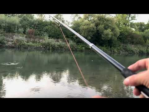 Видео: 🐟 Рибалка на Живця 🐟 на Спінінг 🐟