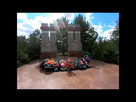 Видео: Село Бесколь, Северный Казахстан