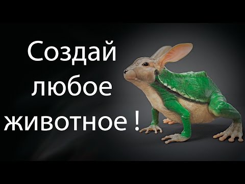 Видео: Создай любое животное ! ( Impossible Creatures )