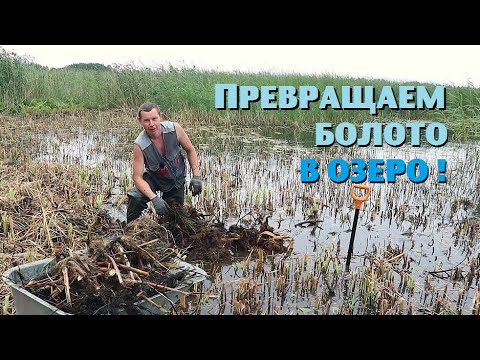 Видео: Превратили болото в уютную озерную бухту!