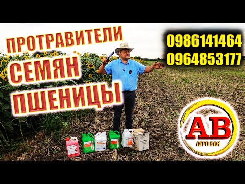 Видео: КАКОЙ ЛУЧШЕ ПРОТРАВИТЕЛЬ🌾 ЧЕМ ОТЛИЧАЮТСЯ ПРОТРАВИТЕЛИ СЕМЯН?