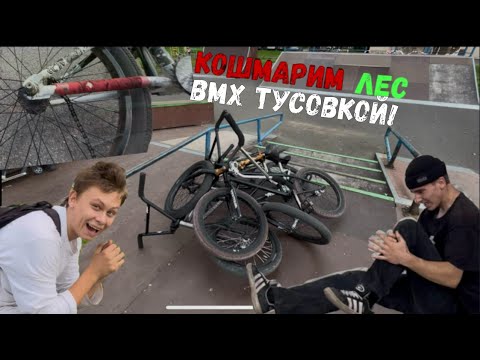 Видео: КО-ОП ШИЗА в ЛЕСУ на ВМХ / ИСПОРТИЛИ ПЕРИЛУ В СКЕЙТ-ПАРКЕ!