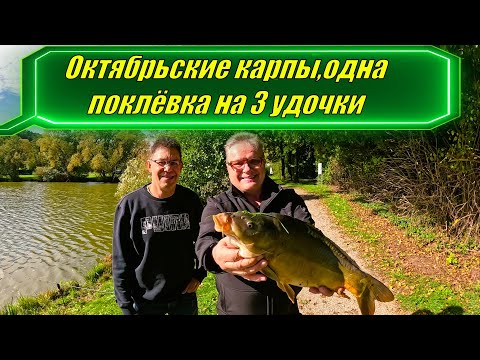 Видео: Октябрьские карпики, один карп клюнул на 3 удочки!